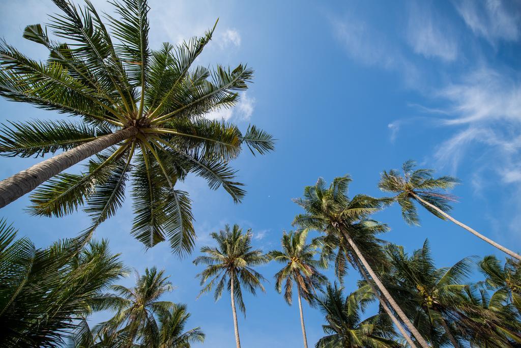 Seavana Koh Mak Beach Resort Exterior photo